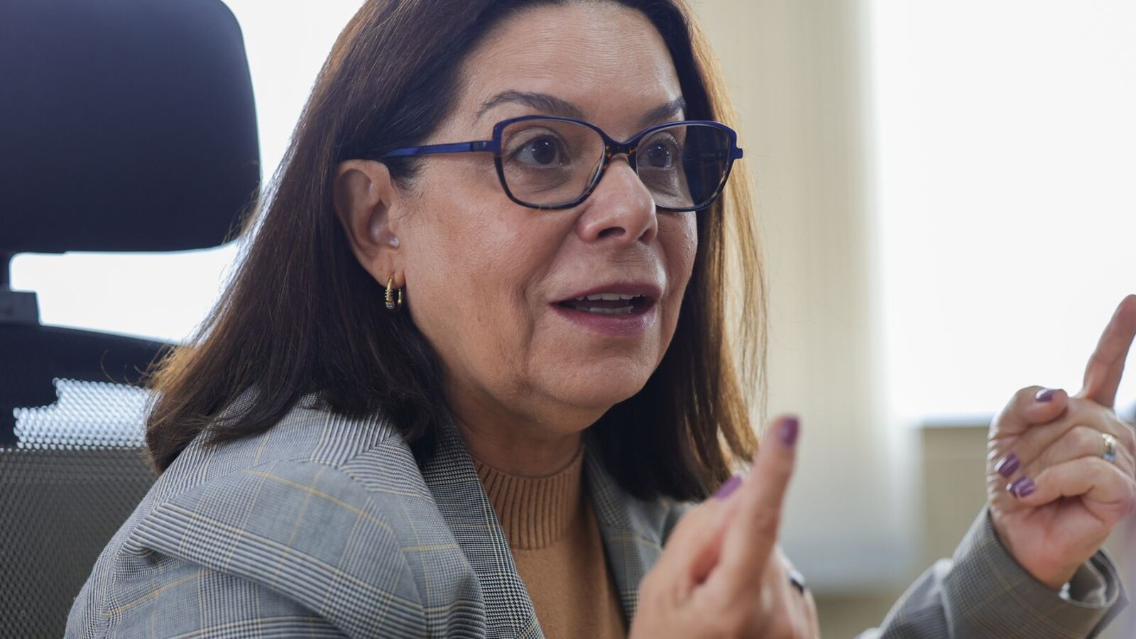 Denise Pires de Carvalho durante entrevista sobre ciência e educação superior