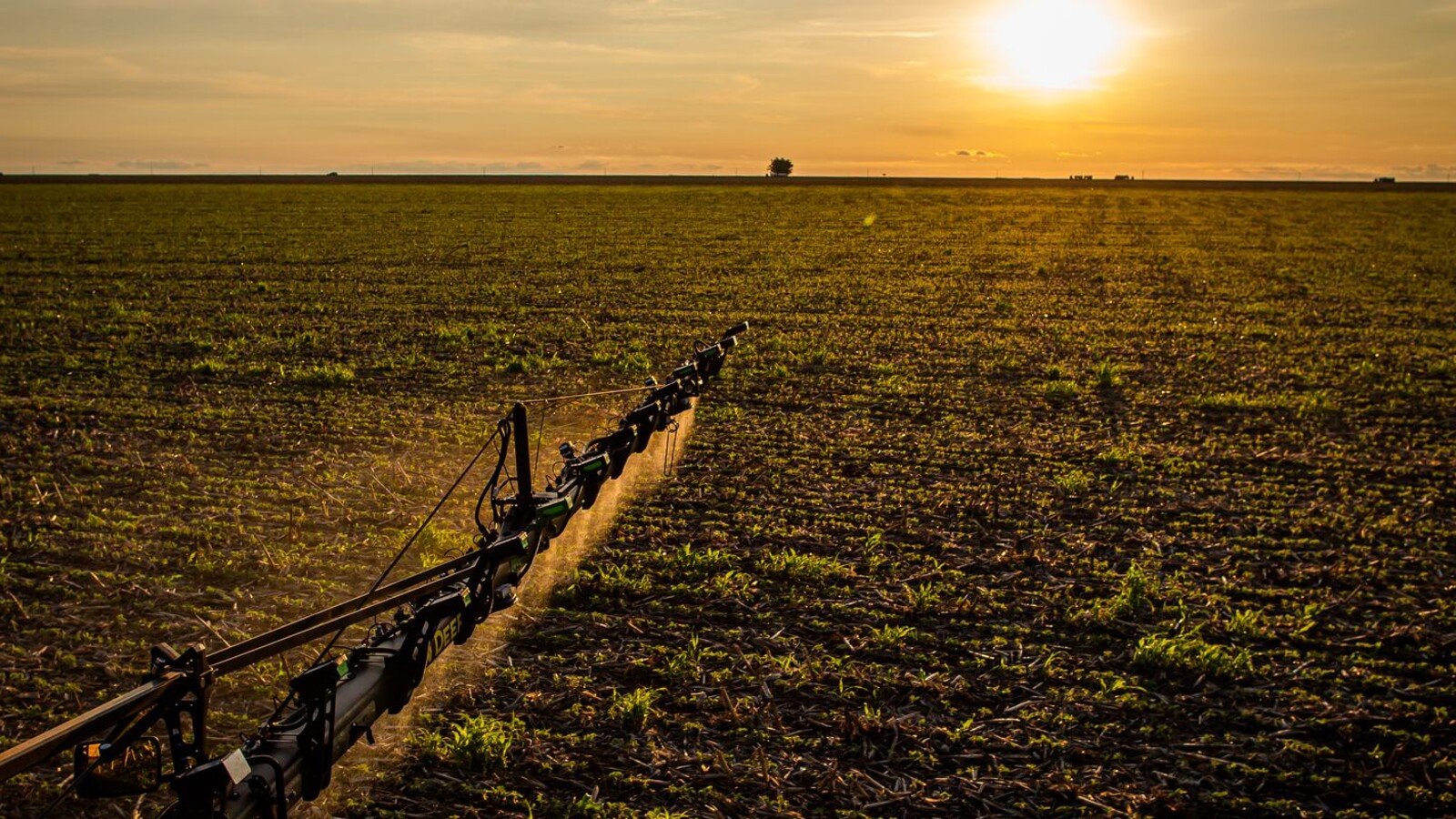 Trabalhador rural observa área de plantação em propriedade agrícola