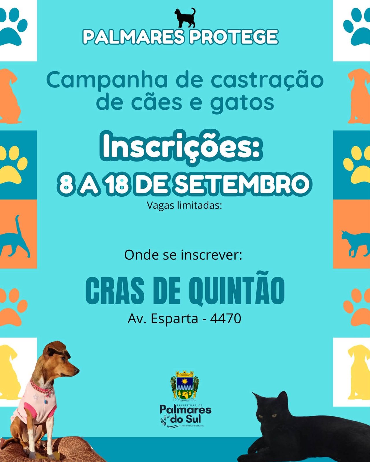 Quintão realizará campanha de castração.