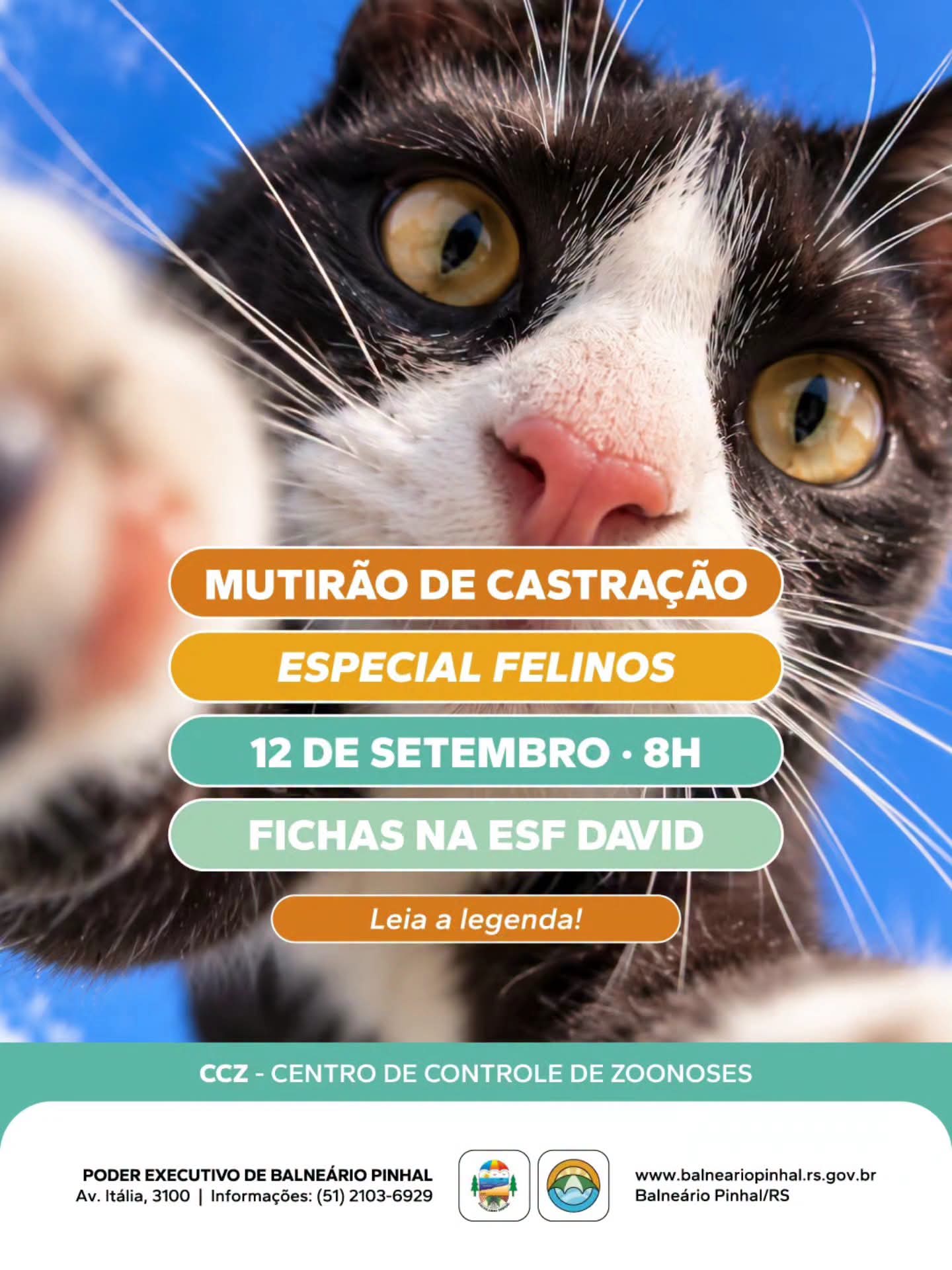 Balneário Pinhal realiza mutirão de castração.