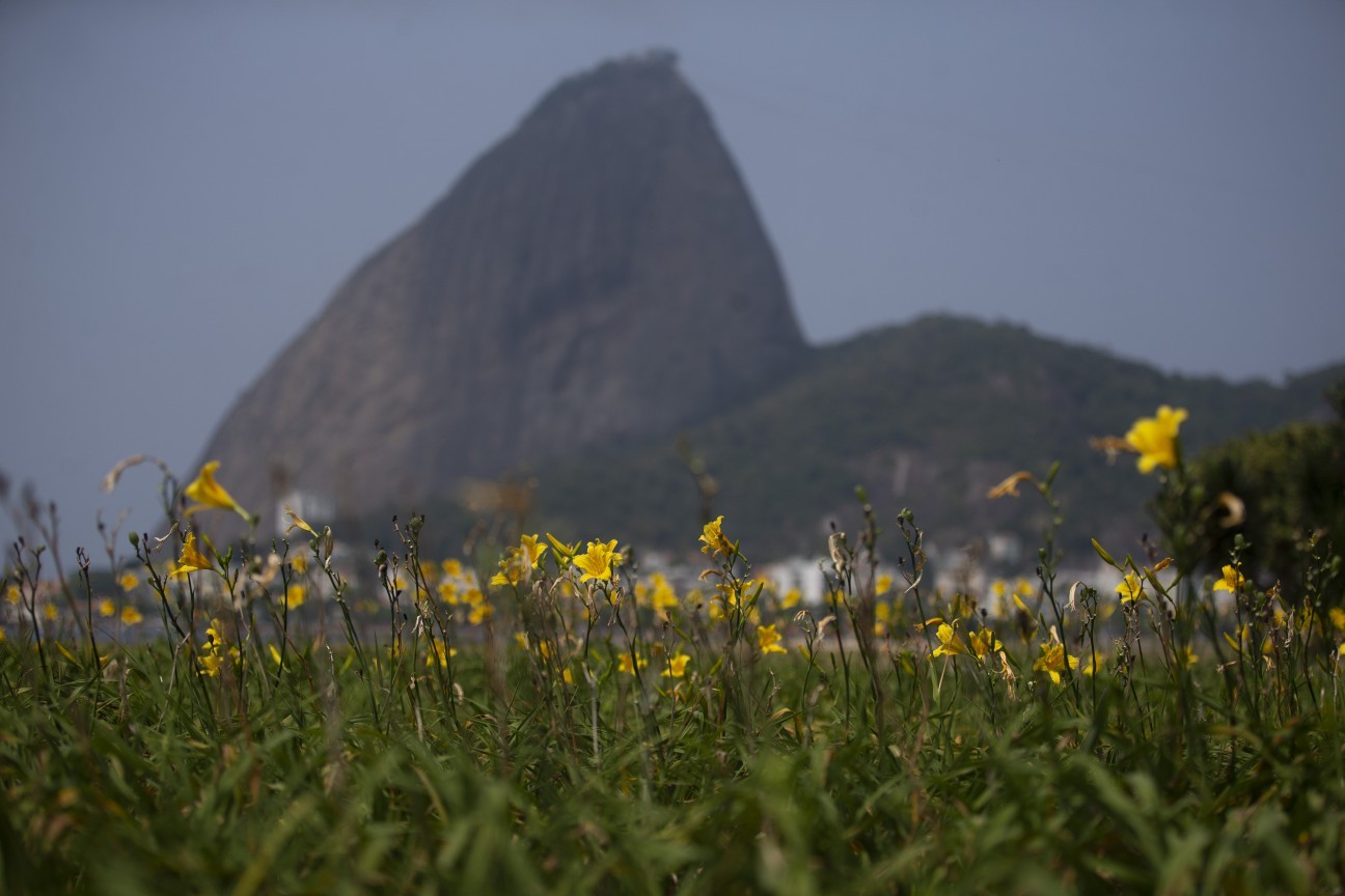Começa a primavera no Brasil.