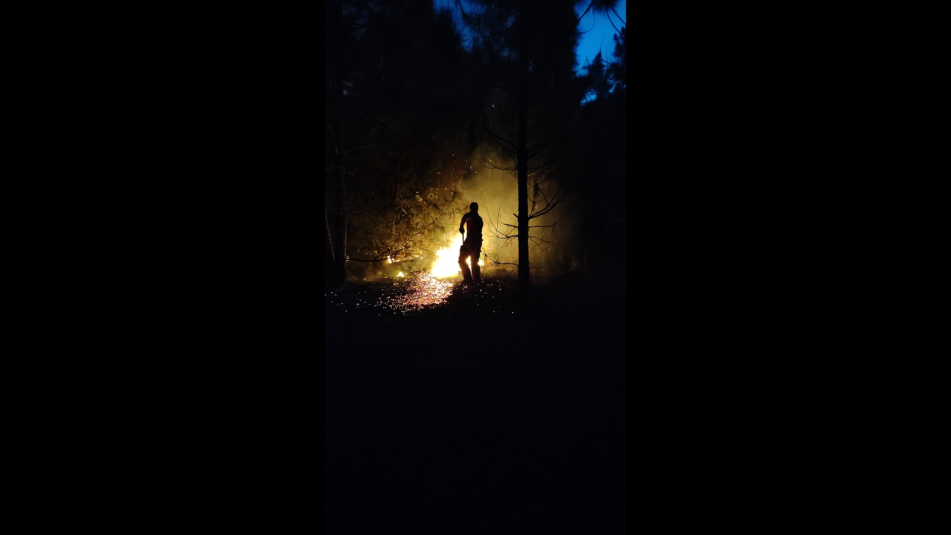 Fogo atinge área de mata em Balneário Pinhal.