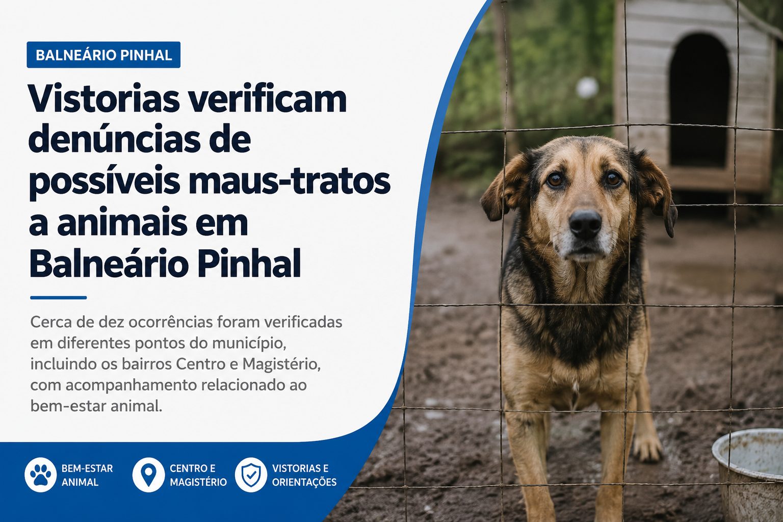 maus-tratos a animais.