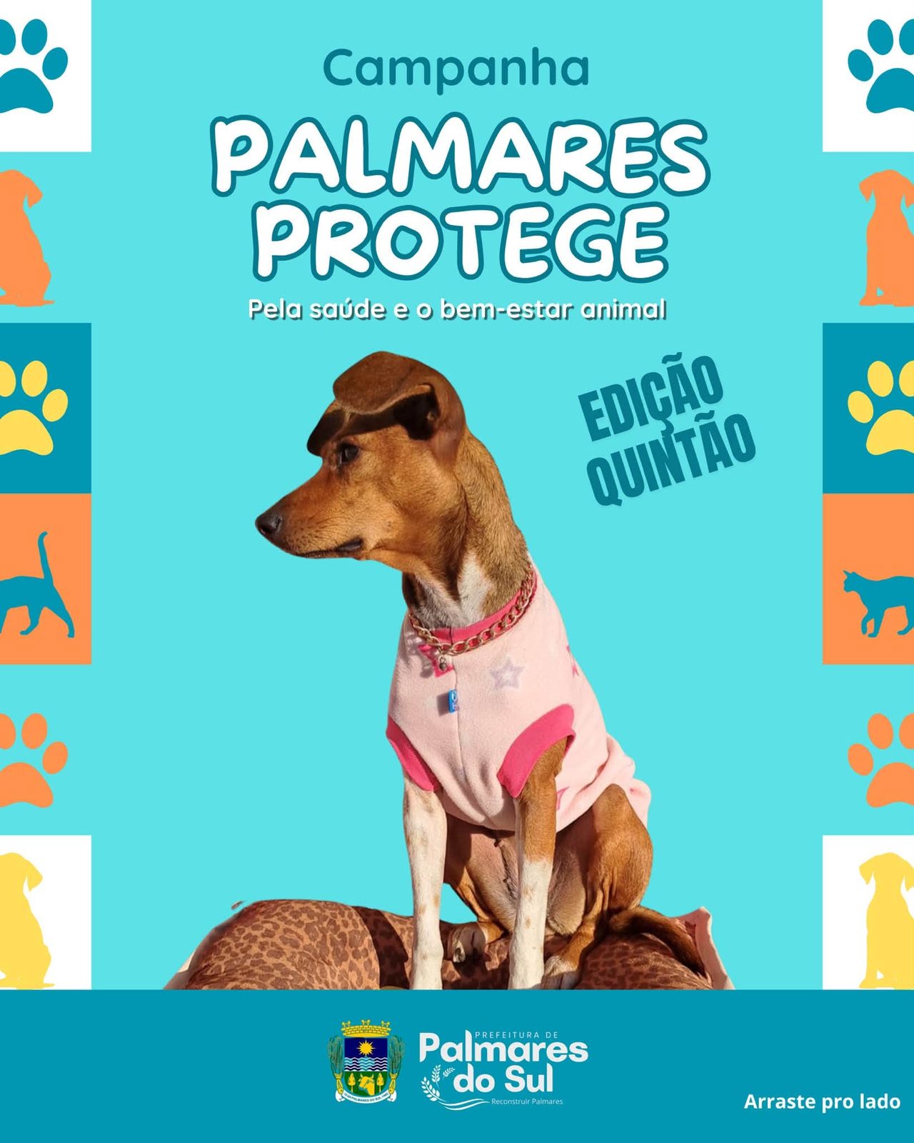 castrações gratuitas ao Balneário Quintão